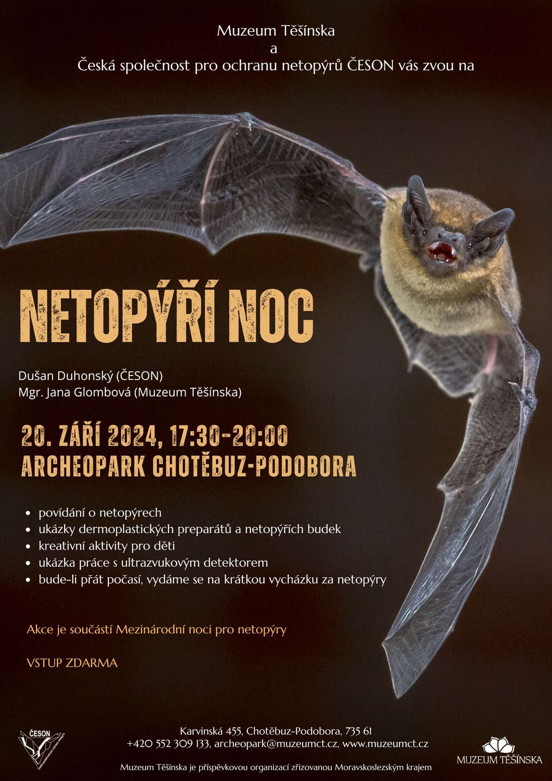 Netopýří noc